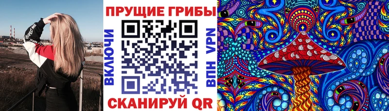 KRAKEN как зайти  купить наркоту  Бодайбо  Псилоцибиновые грибы Magic Shrooms 